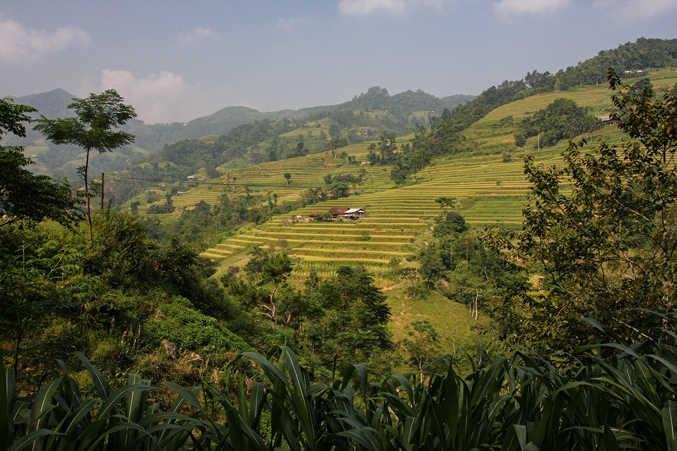 Ha Chiang   Lung Cu   013